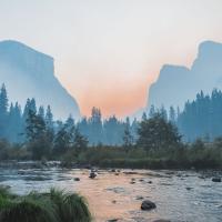 The Escrow Agent Who Loved Cats