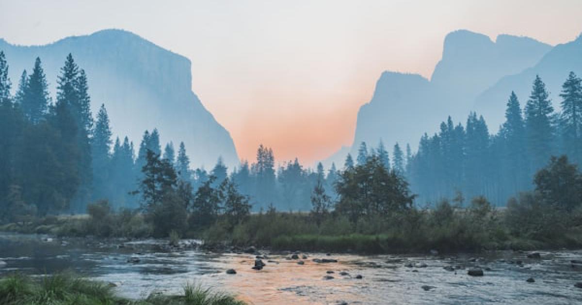 The Inspection That Got Weird