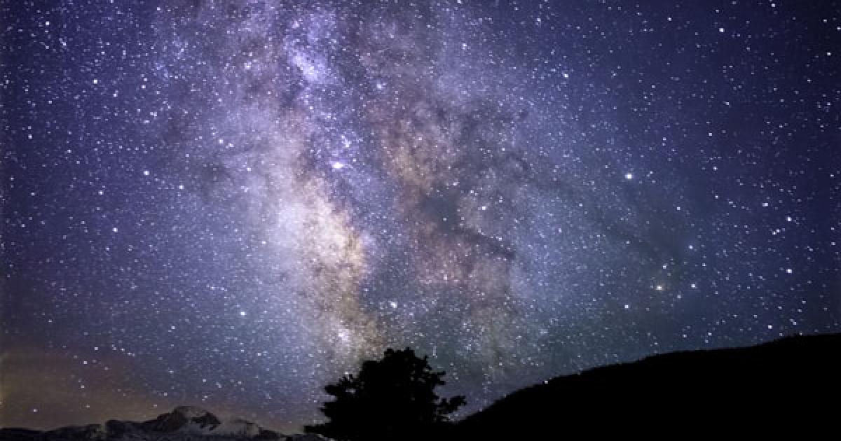 When Drones Attack: A Realtor's Tale